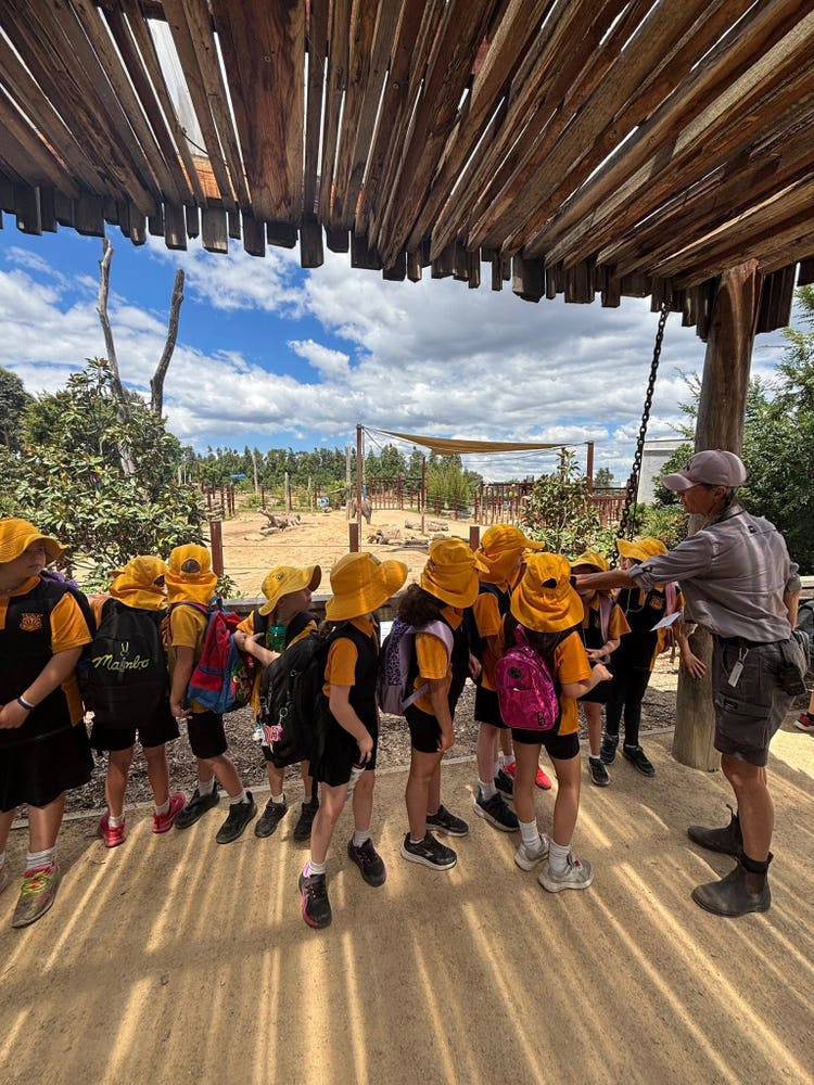 Students listening to a zookeeper inside a wooden hut during the zoo excursion, learning about animals and their habitats